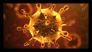 coronavirusweb