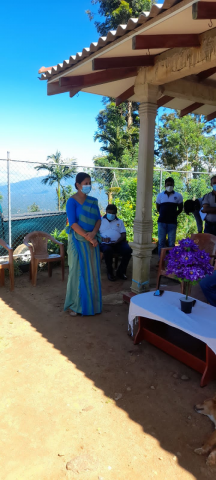 Hadabima Tree Plantation  program 2021.12.01