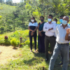 Hadabima Tree Plantation  program 2021.12.01