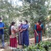 samurdhi plant donation