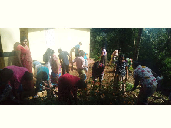 Tfield water supply project