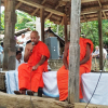 World Cultural Diversity Day Celebration