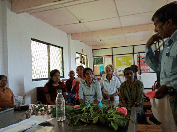 ayurveda program nugaliyadda ihala