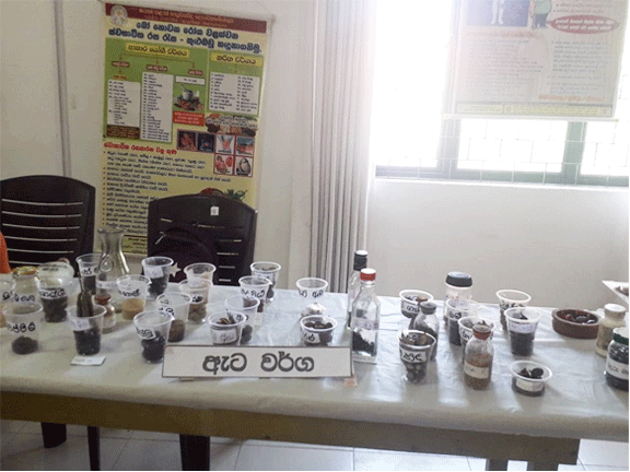 Ayurvedic Medicine Exhibition2023