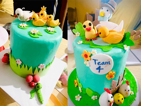 cake training program cooperative hall