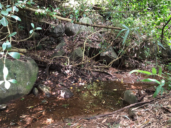 Field survey of Igurugolla water catchment area