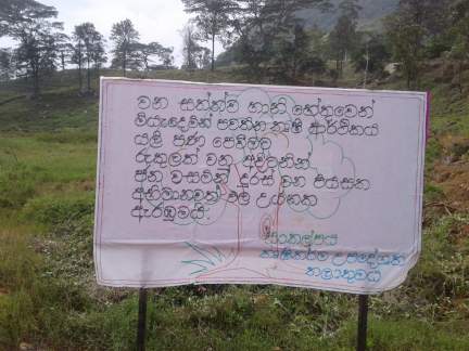 Hanthaha Fruit plantation