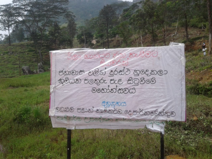 Hanthaha Fruit plantation