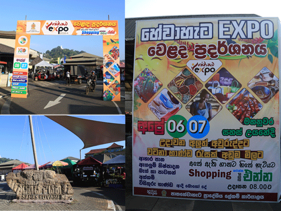 Hewaheta Expo 2024 event