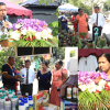 Hewaheta Expo 2024 event