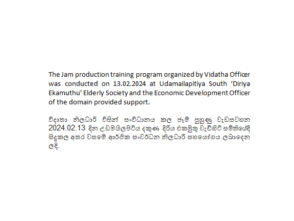 jam production udamailapitiya south