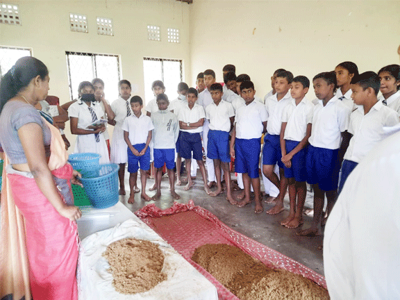 Mashroom Program for Bootawatta school
