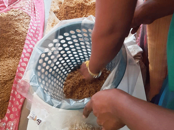 Mashroom Program for Bootawatta school