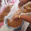 Mashroom Program for Bootawatta school