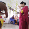 New Year Celebration 2024