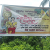 new year celebrations with children societies