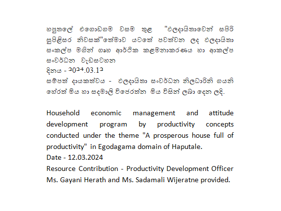 productivity program haputhale