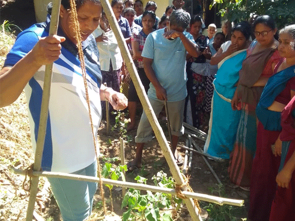 soil conservation program samurdhi bank