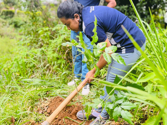 Environmental Day 2023 Moragolla