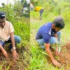 Environmental Day 2023 Moragolla